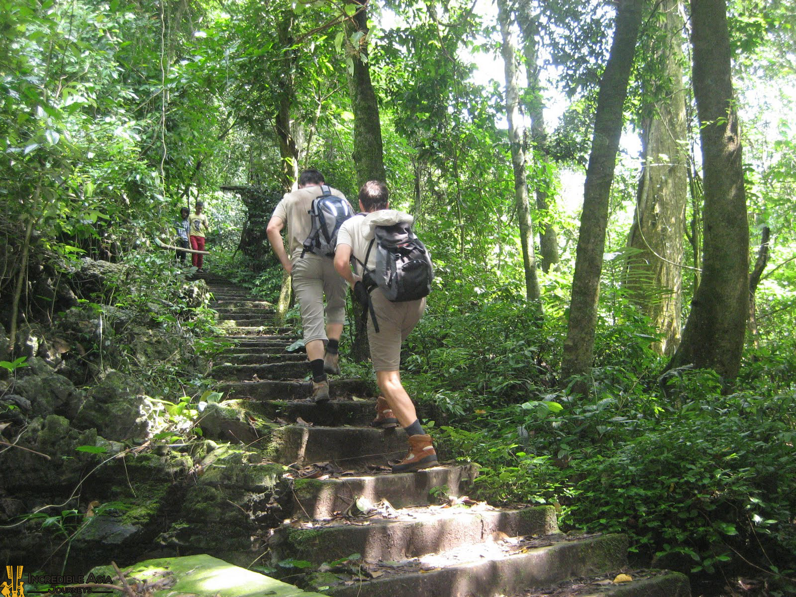 Trekking in Cuc Phuong National Park